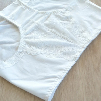 Ladies Underpanties Lace Underwear Women high quality Briefs Girls Briefs Female hipster Underpanty Plus Size Underwear jannyday