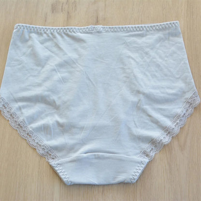 Ladies Underpanties Lace Underwear Women high quality Briefs Girls Briefs Female hipster Underpanty Plus Size Underwear jannyday