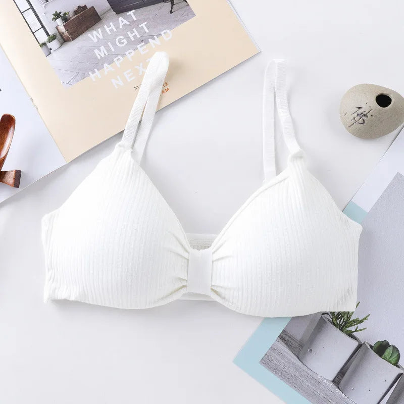 Wire Free Bras For Women Push Up Bra Sexy Lingerie Comfort Bra Tops Female Brassiere Seamless Underwear Solid Intimates