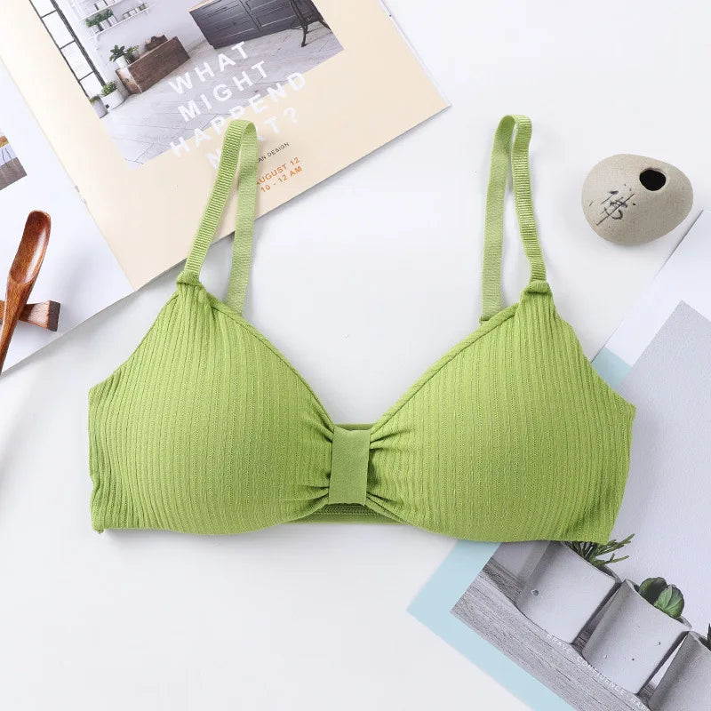 Wire Free Bras For Women Push Up Bra Sexy Lingerie Comfort Bra Tops Female Brassiere Seamless Underwear Solid Intimates