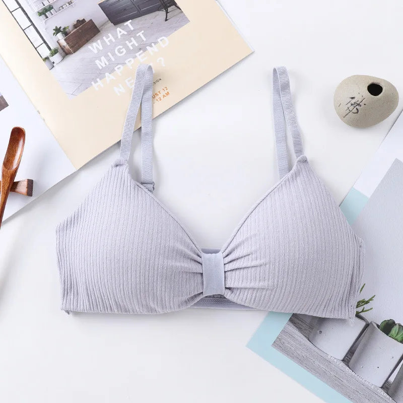 Wire Free Bras For Women Push Up Bra Sexy Lingerie Comfort Bra Tops Female Brassiere Seamless Underwear Solid Intimates