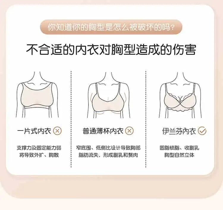 Beauty Salon, Body Shaping Bra, Adjustable Function Bra, Gathering Full Cup, Thin Cup, Functional Bra